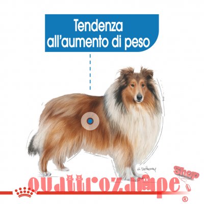 Royal Canin Maxi Light