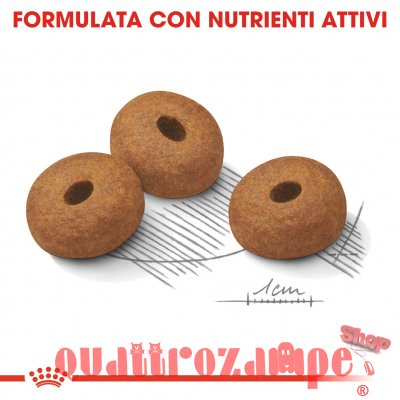 Royal Canin Maxi Light
