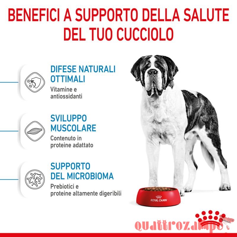 Royal Canin Giant Junior