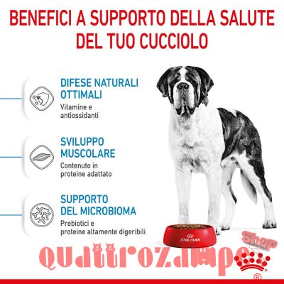 Royal Canin Giant Junior