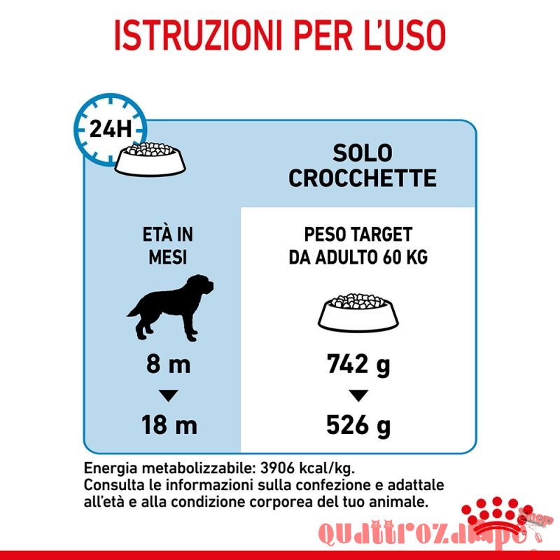 Royal Canin Giant Junior