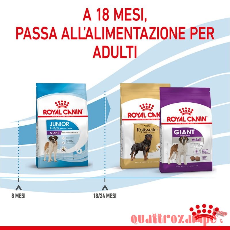 Royal Canin Giant Junior