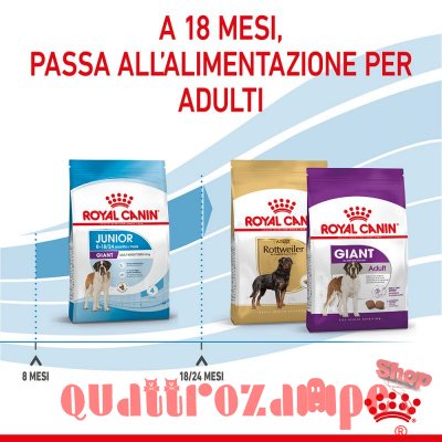Royal Canin Giant Junior
