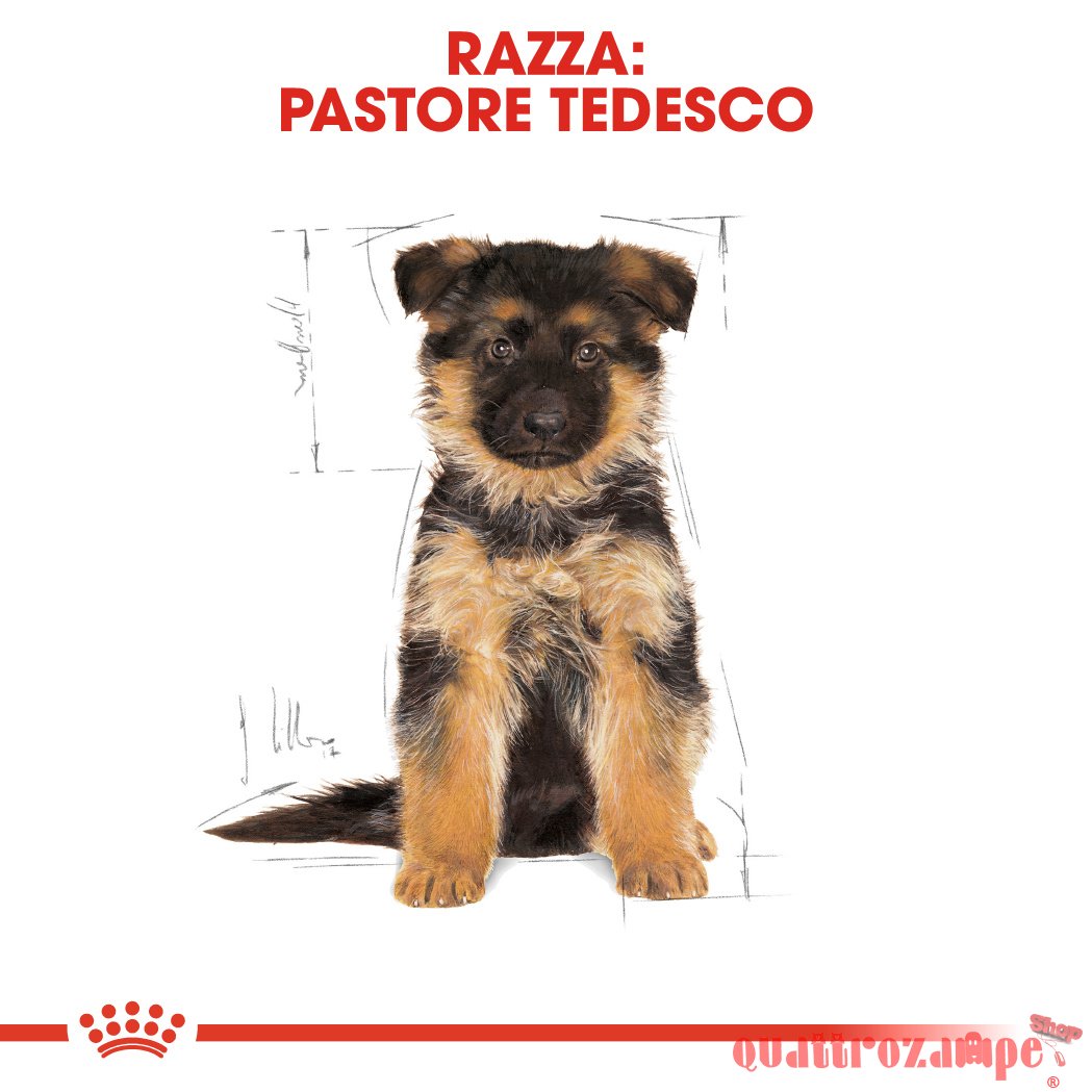 Royal Canin German Shepherd Puppy