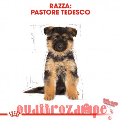 Royal Canin German Shepherd Puppy
