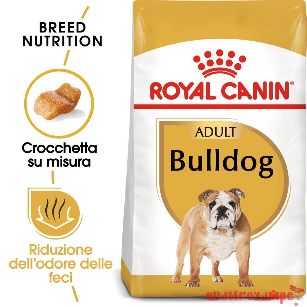 Royal Canin Bulldog Adult Inglese