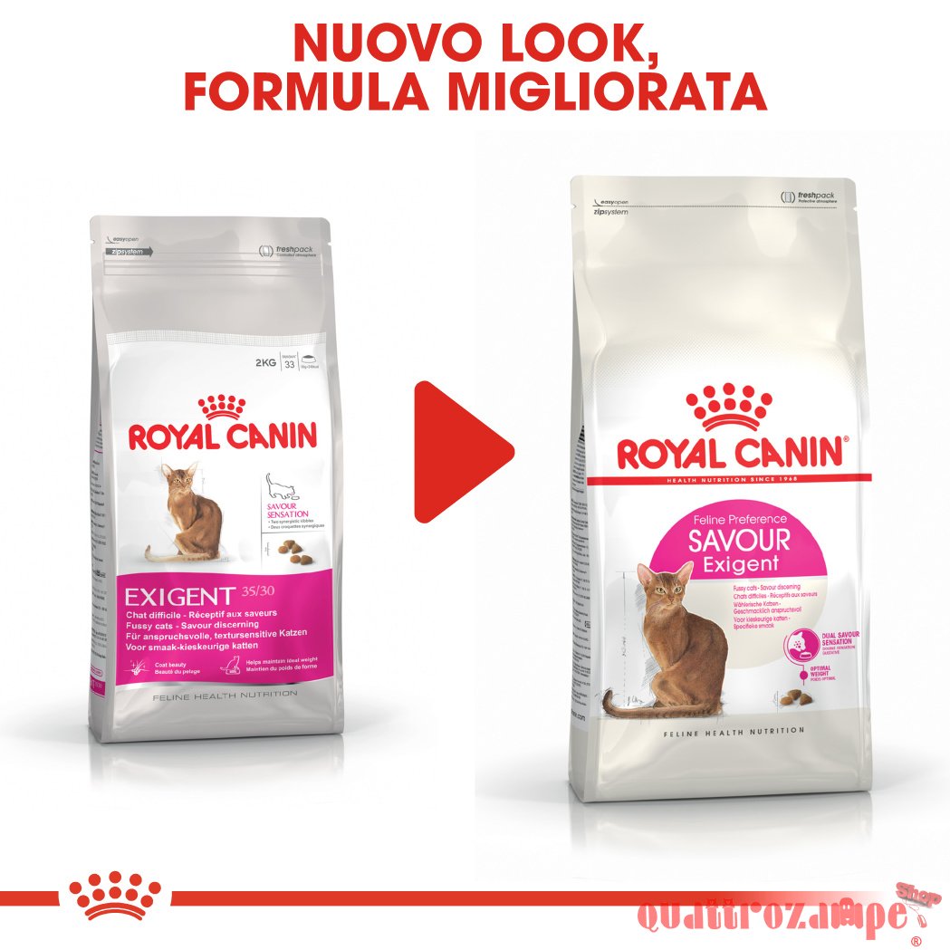 Royal Canin Exigent Savour Sensation Secco Gatto