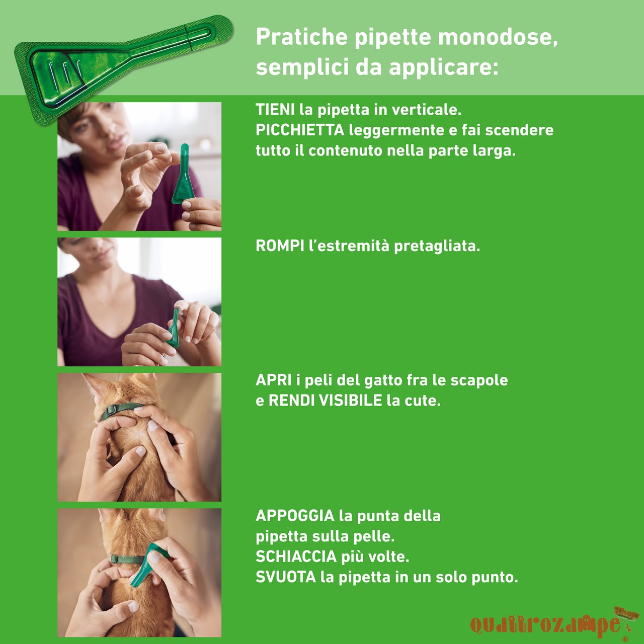 Frontline Combo 1 Pipetta da 0,5 ml Per Gatti e Gattini