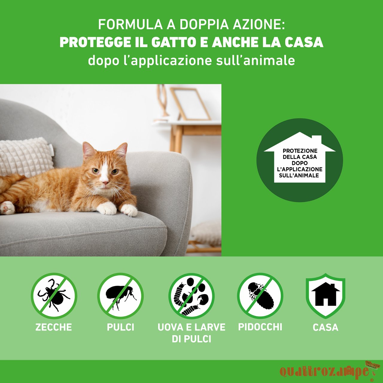 Frontline Combo 1 Pipetta da 0,5 ml Per Gatti e Gattini