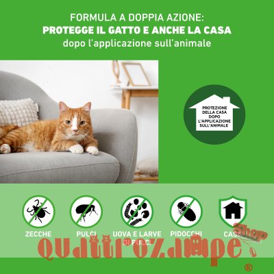 Frontline Combo 1 Pipetta da 0,5 ml Per Gatti e Gattini