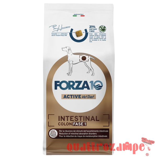 Forza 10 Intestinal Colon Fase 1