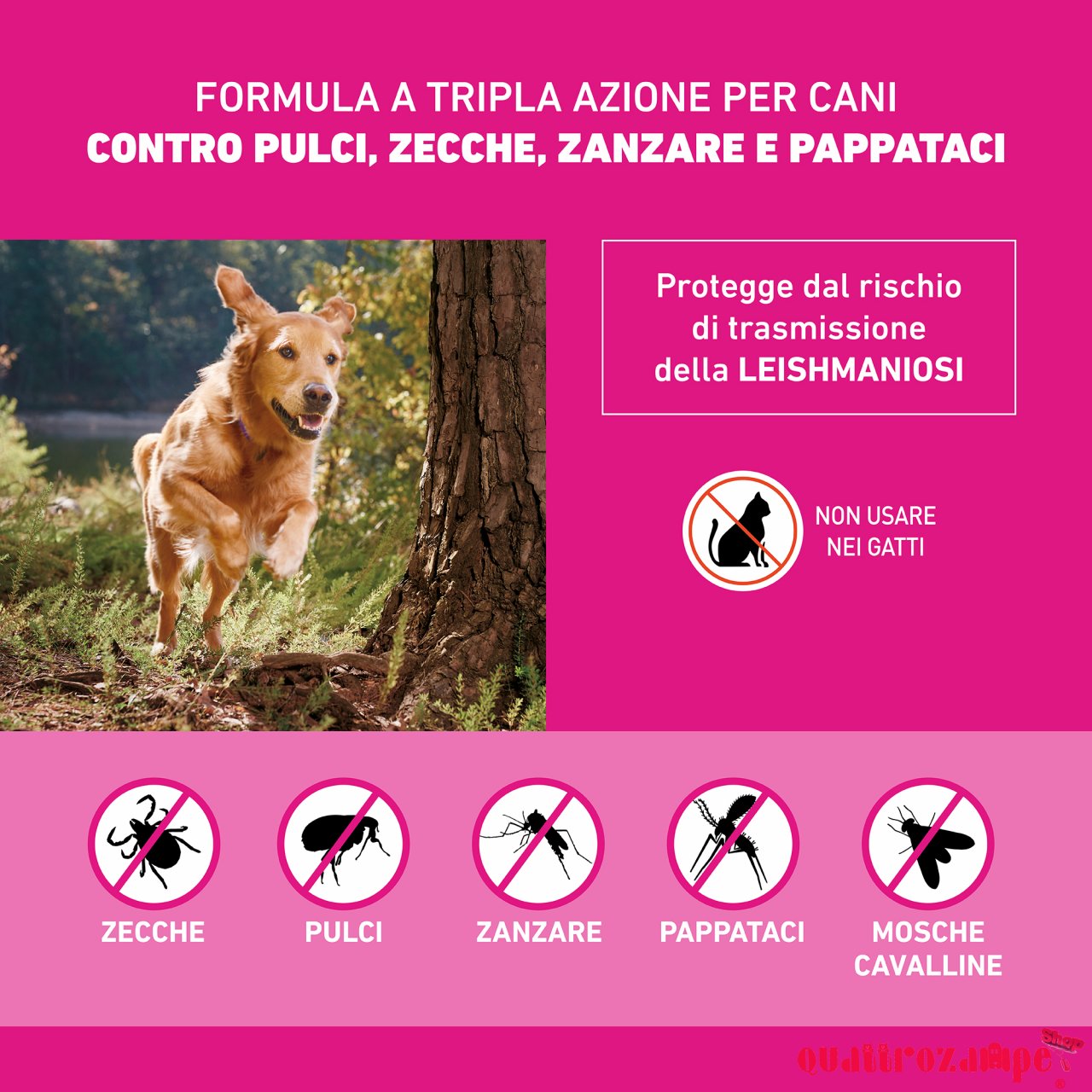 Frontline Tri Act 2 - 5 kg Antiparassitario Per Cane