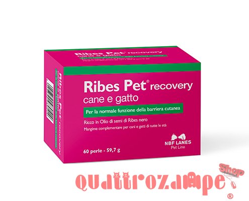 NBF Lanes Ribes Pet Recovery