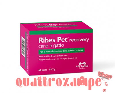 NBF Lanes Ribes Pet Recovery