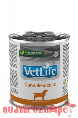 Farmina Vet Life Convalescence 300 gr Barattolo Umido Per Cani