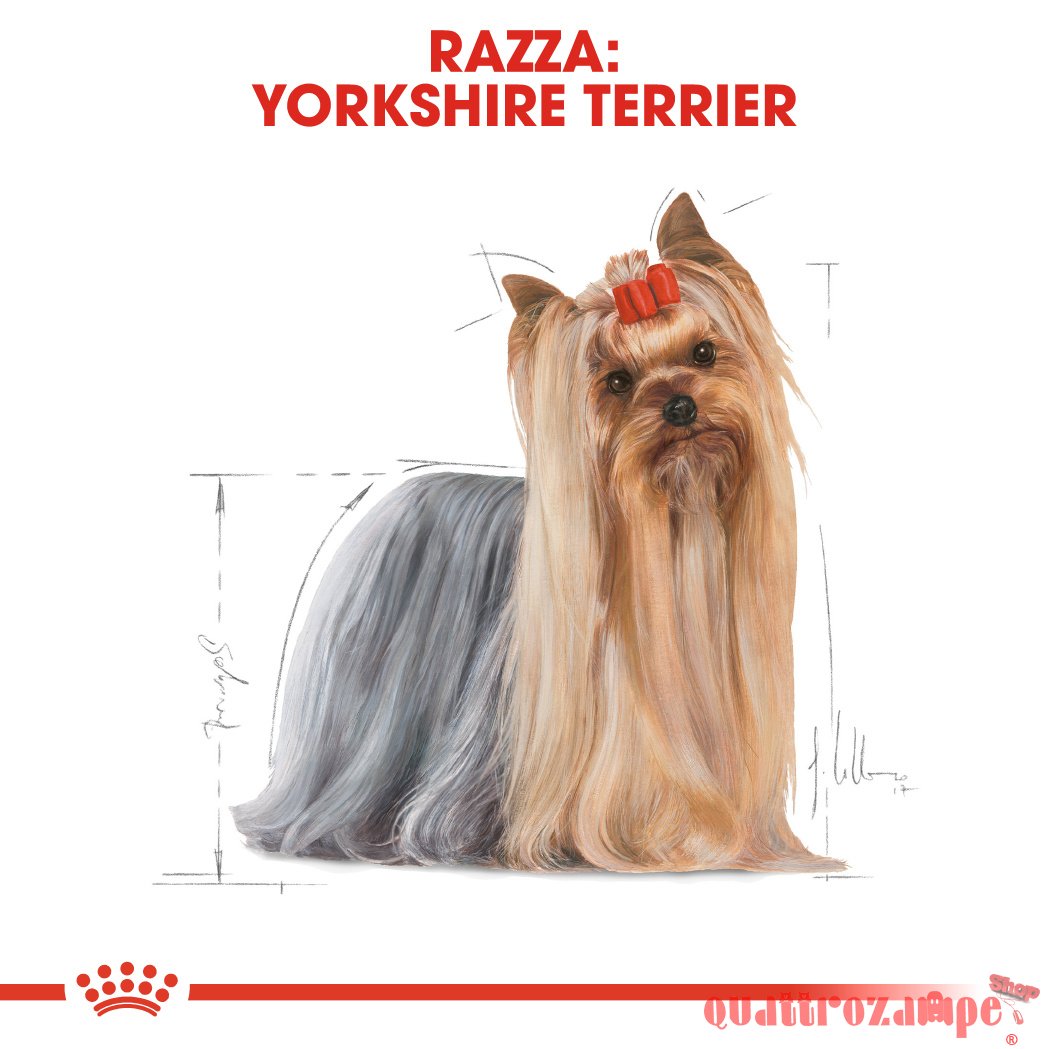 Royal Canin Yorkshire Terrier Adult