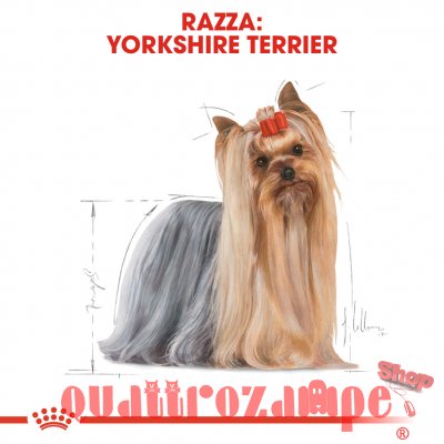 Royal Canin Yorkshire Terrier Adult