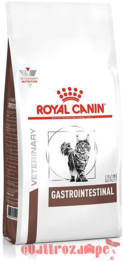 Royal Canin Gastro Intestinal Gatto