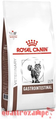 Royal Canin Gastro Intestinal Gatto
