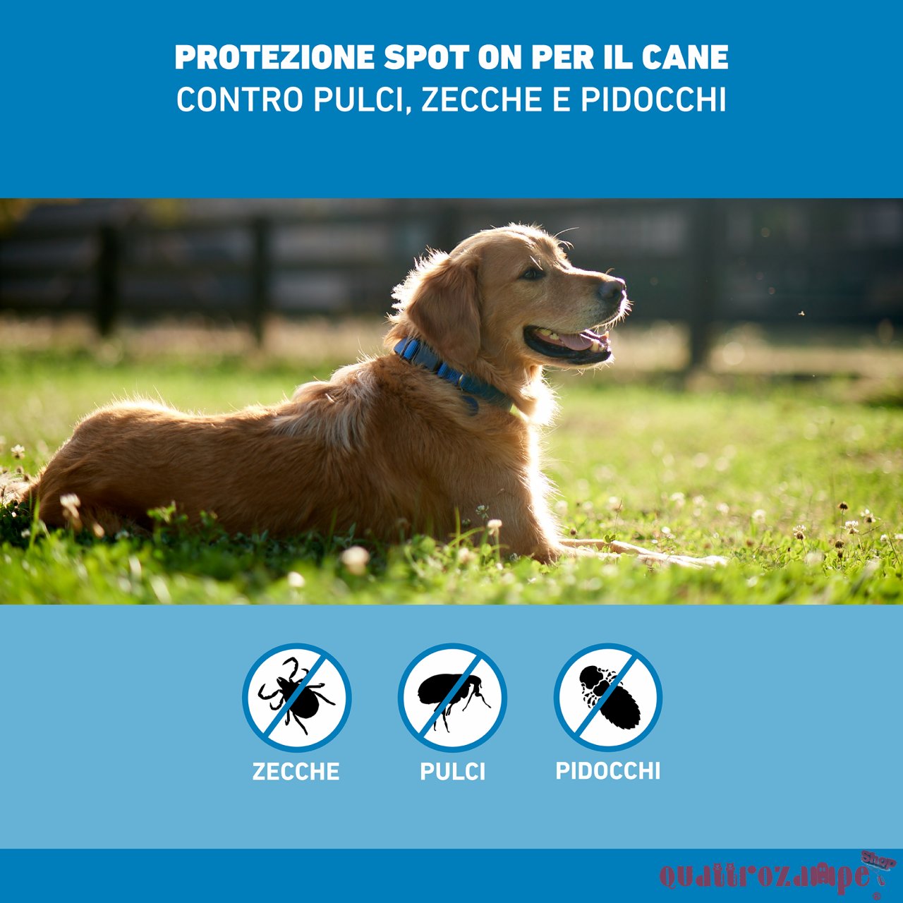Frontline SPOT ON 2-10 Kg - Antiparassitario per cane cani - 4 pipette