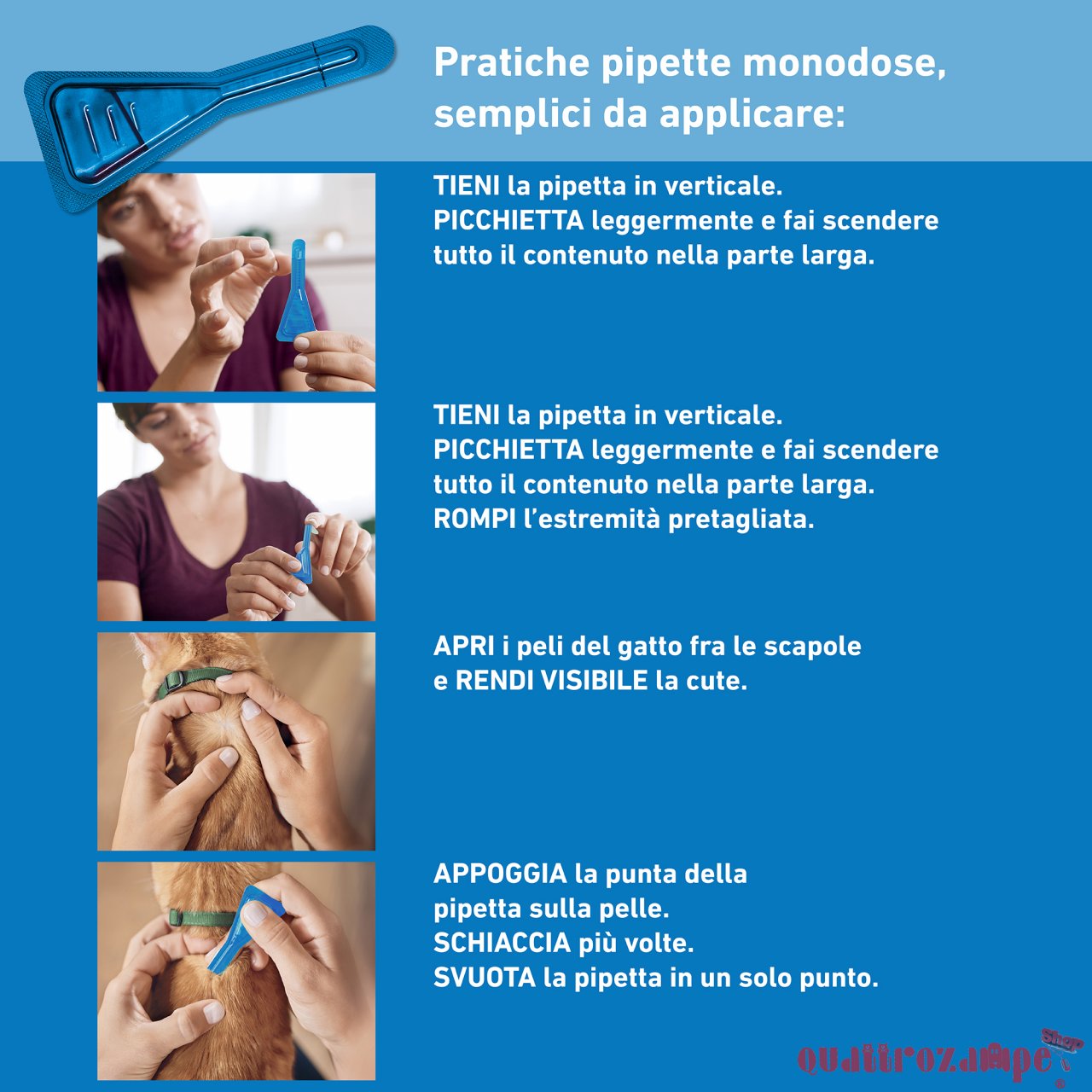 Frontline - SPOT ON Antiparassitario per Gatto 3 Pipette per gatti