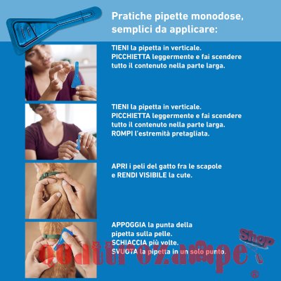 Frontline - SPOT ON Antiparassitario per Gatto 3 Pipette per gatti