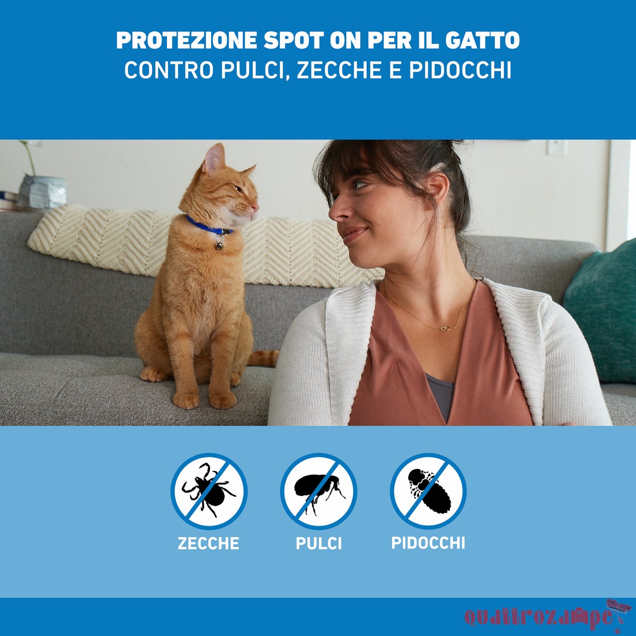 Frontline - SPOT ON Antiparassitario per Gatto 3 Pipette per gatti