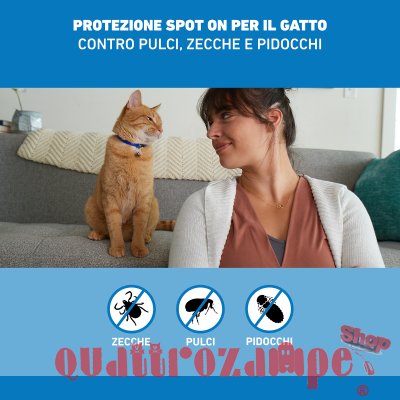 Frontline - SPOT ON Antiparassitario per Gatto 3 Pipette per gatti