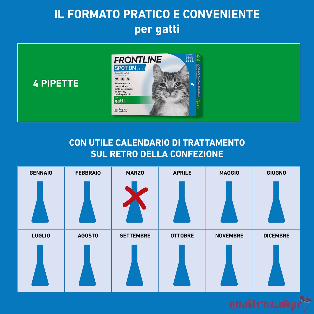Frontline - SPOT ON Antiparassitario per Gatto 3 Pipette per gatti