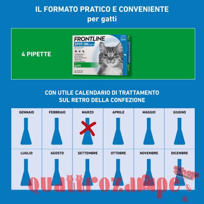 Frontline - SPOT ON Antiparassitario per Gatto 3 Pipette per gatti