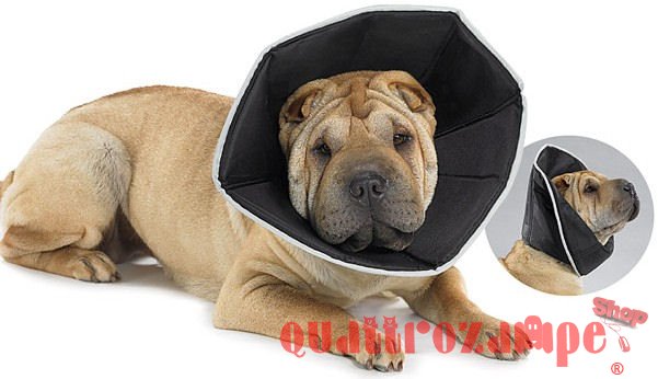 Candioli Comfy Cone Collare Elisabetta