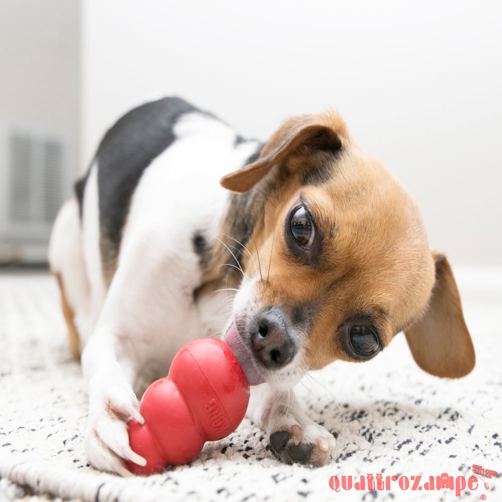 Kong Classic Gioco Cane