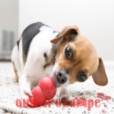 Kong Classic Gioco Cane