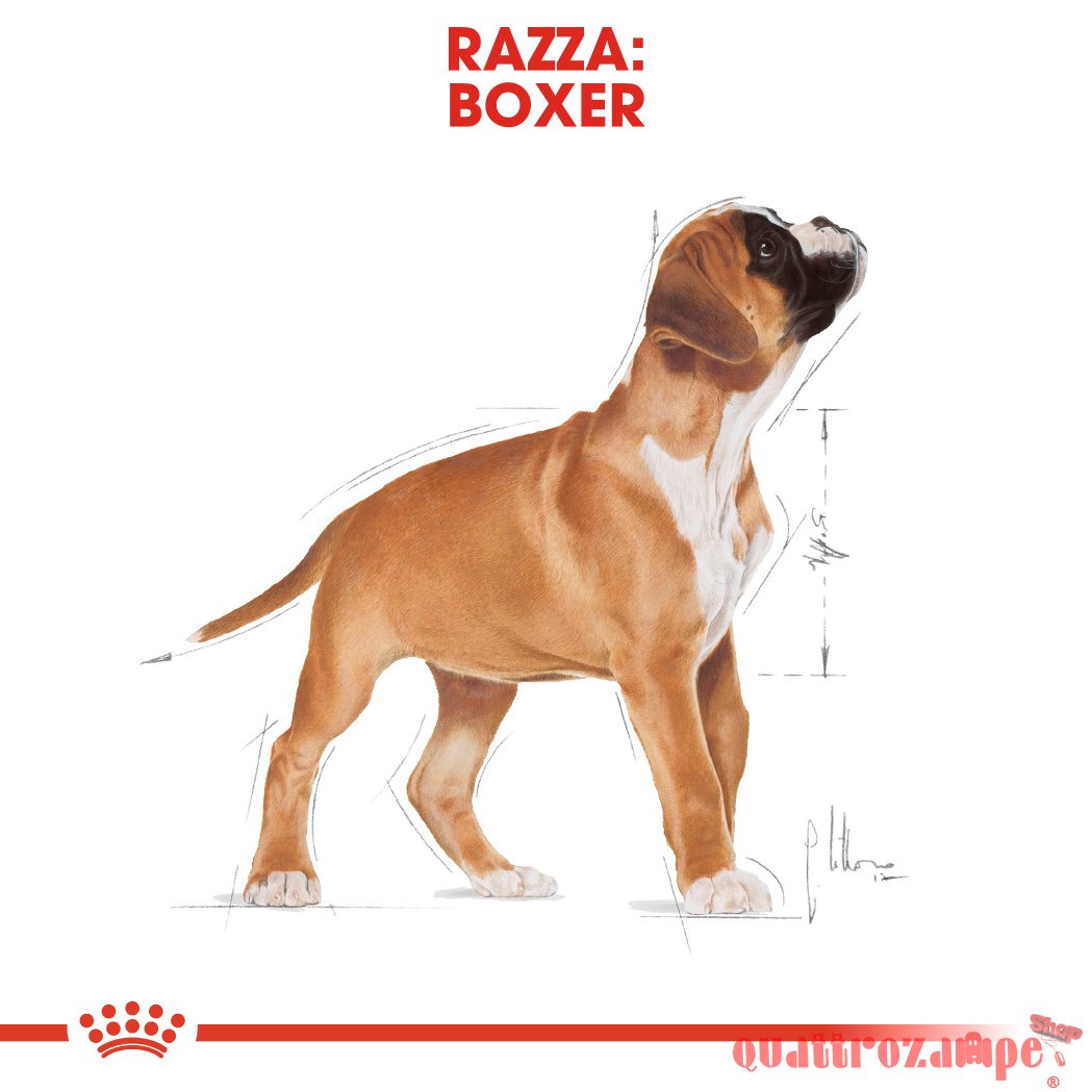 Royal Canin Boxer Puppy 12 kg