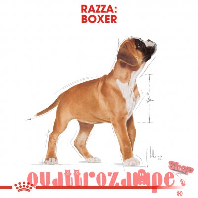 Royal Canin Boxer Puppy 12 kg
