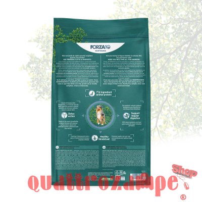 Forza 10 Adult Medium Maintenance Cervo 12 kg Per Cani