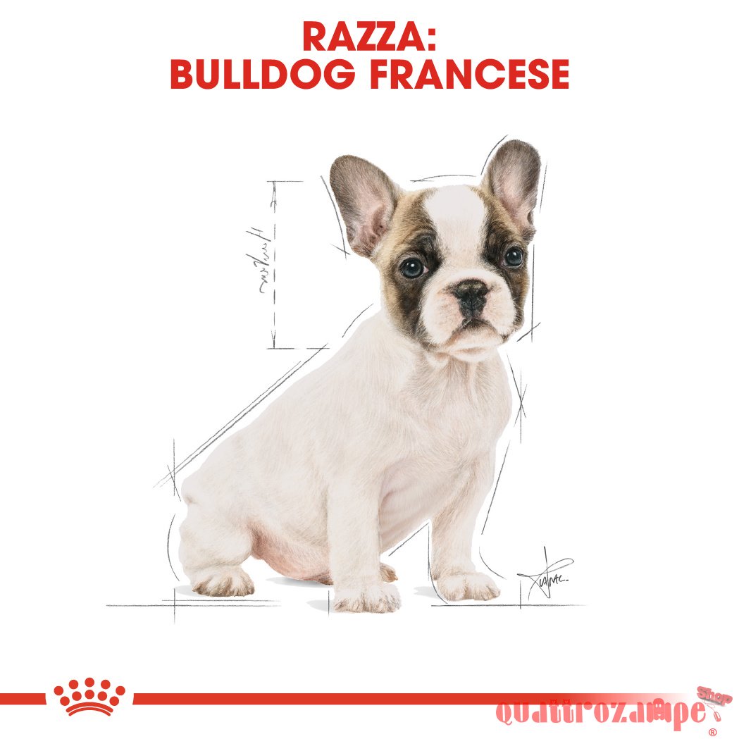 Royal Canin Bulldog French Puppy 10 kg Bulldog Francese Cucciolo