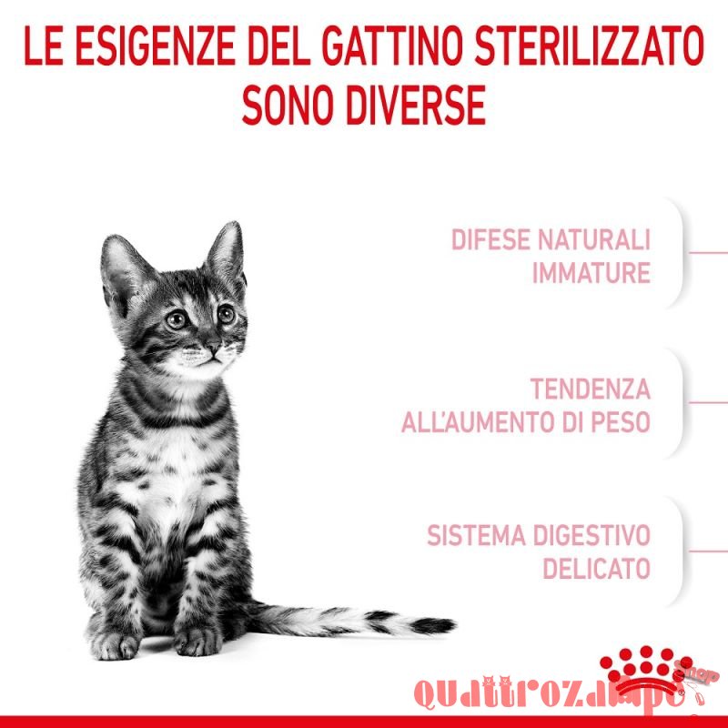 Royal Canin Kitten Sterilised Gatto