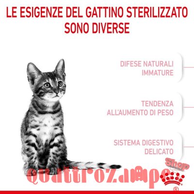 Royal Canin Kitten Sterilised Gatto
