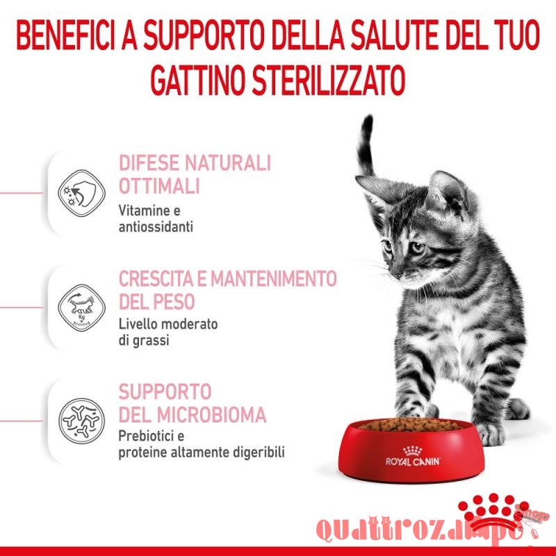 Royal Canin Kitten Sterilised Gatto