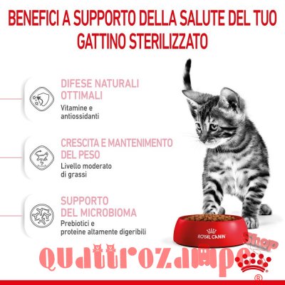 Royal Canin Kitten Sterilised Gatto