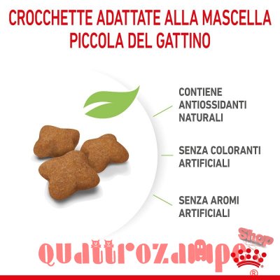 Royal Canin Kitten Sterilised Gatto