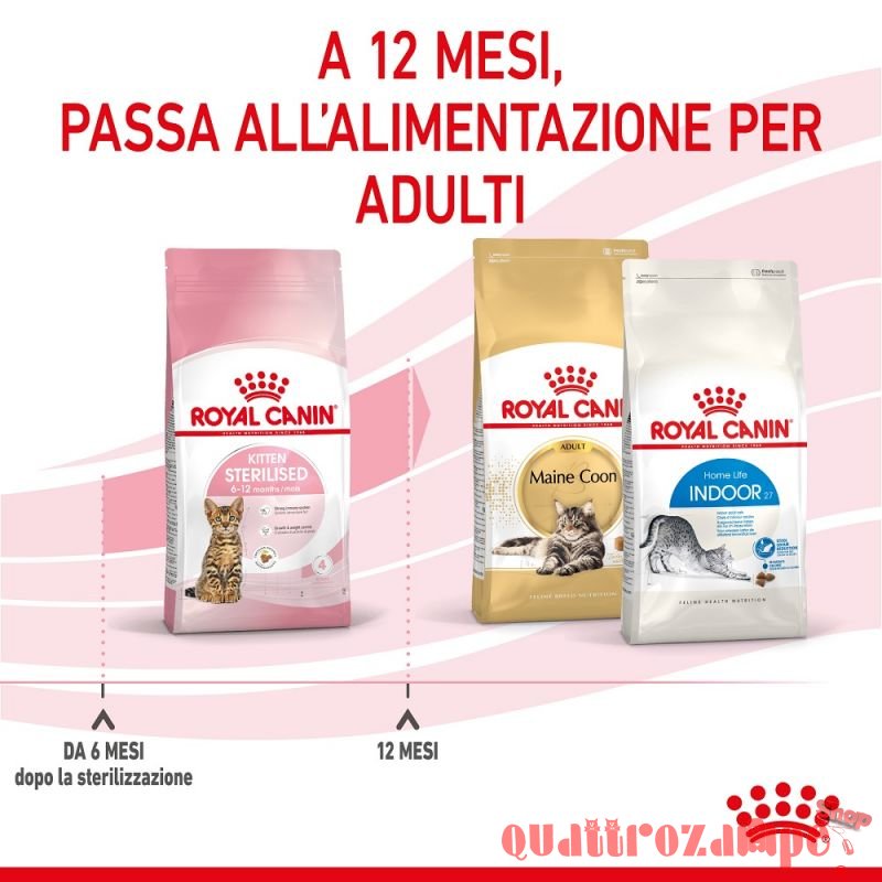 Royal Canin Kitten Sterilised Gatto