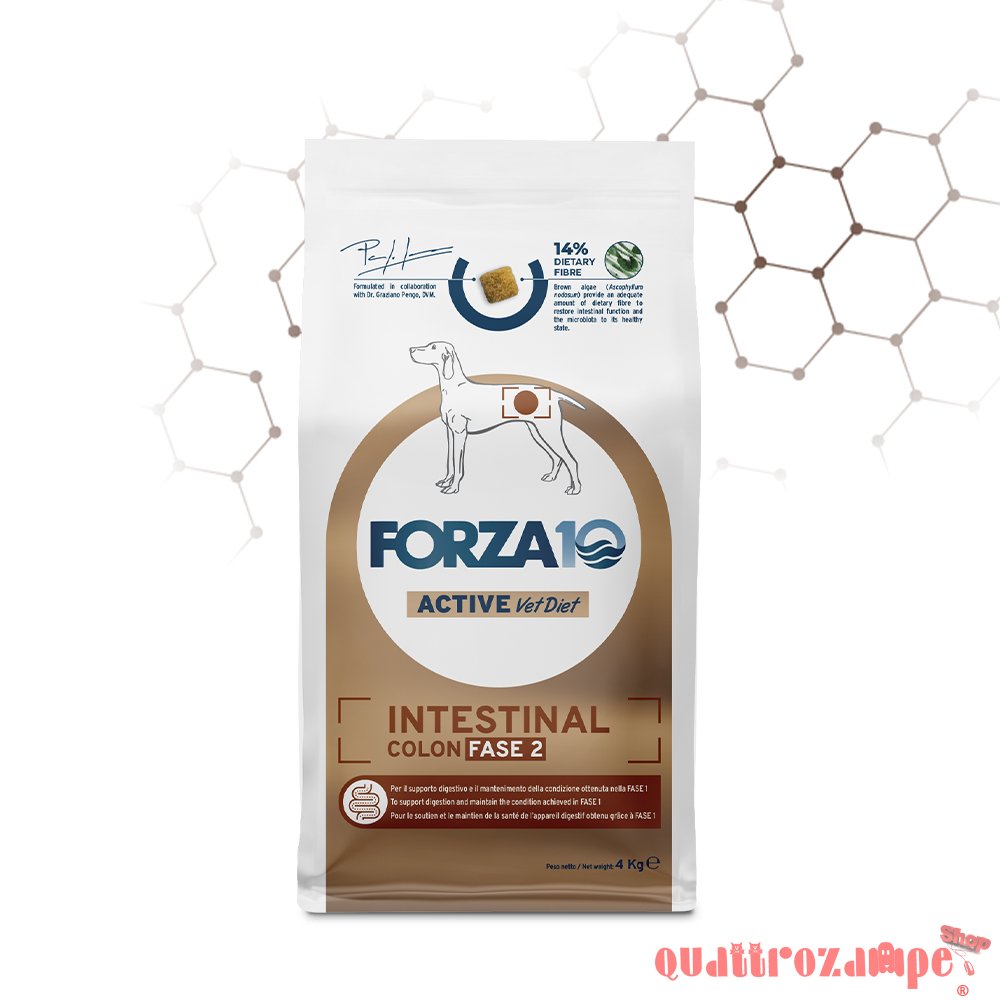 Forza 10 Intestinal Colon Fase 2 Crocchette Per Cani
