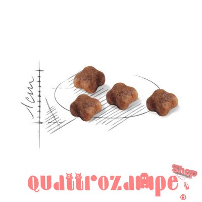 Royal Canin Mother & Babycat Kitten Crocchette Per Gatti