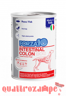 Forza 10 Active Intestinal Colon 390 Gr Barattolo Umido Per Cani
