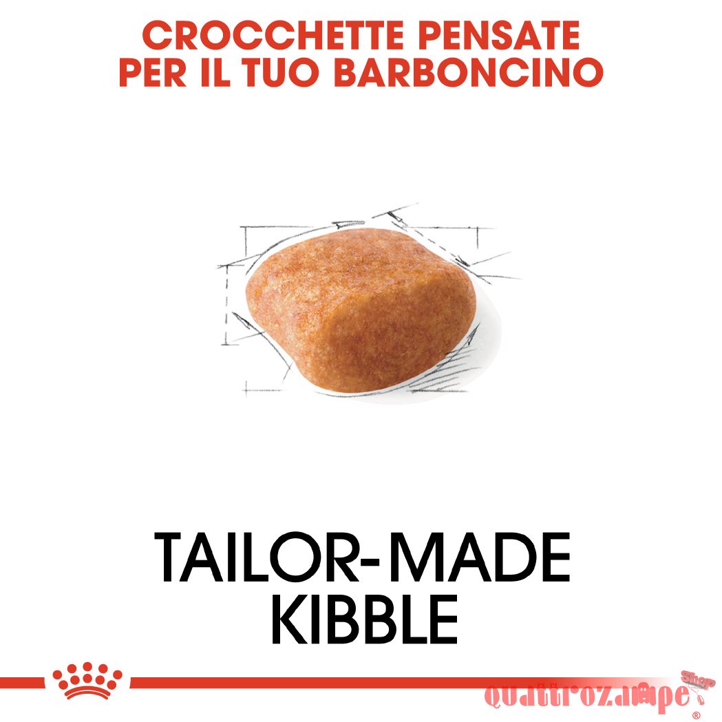 Royal Canin Poodle Adult Barboncino