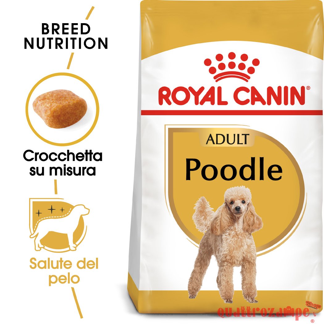 Royal Canin Poodle Adult Barboncino