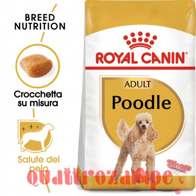 Royal Canin Poodle Adult Barboncino