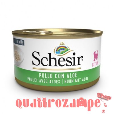 Schesir in Gelatina Kitten 85 gr Per Gattini